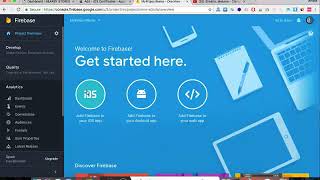 firebase api debug [upl. by Selle467]