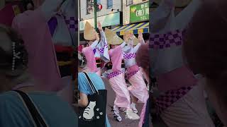 GinzaSuikyo ren parading😊From Higashirinkans Awa Odori festival 20240803 【ぎんざ粋狂連】東林間サマーわぁ！ニバル2024 [upl. by Aicenat]