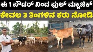 Servatec  Milk Replacer ಈ 1 ಪೌಡರ್ ನಿಂದ ಫುಲ್ ಮ್ಯಾಜಿಕ್ ಕೇವಲ 3 ತಿಂಗಳಿನ ಕರು ನೋಡಿ [upl. by Eylhsa817]