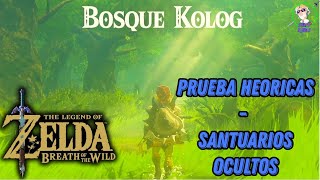 Pruebas Heroicas  Santuarios Ocultos en Bosque Kolog en Tears of the Kingdom [upl. by Htebesile431]