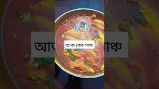 আজ কের লাঞ্চ food cooking nasrinsdiary [upl. by Almat26]