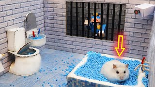 🐹Hamster Escapes the Awesome 5Star Luxury Prison Maze with Bathtub🐹 for Pets in real life [upl. by Murphy]