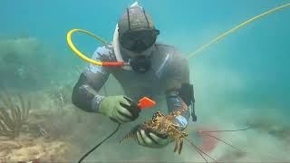 Lobster Mini Season Biscayne National Park [upl. by Ettenrahs]