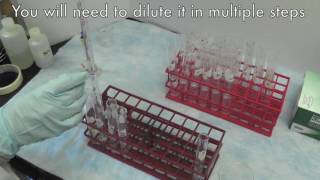 PhenolSulfuric Acid Method for Carbohydrates [upl. by Shaum696]