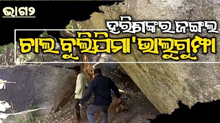 Harishankar Bhalu gumpha Odisha Gandhamardan Hills in Balangir [upl. by Ettevets]