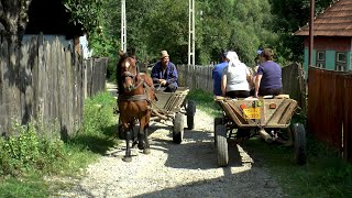 Romania Village Life in Transylvania [upl. by Rother]