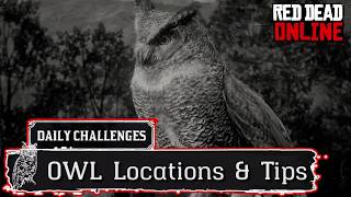 Owl Locations Red Dead Online RDR2 [upl. by Torrlow409]