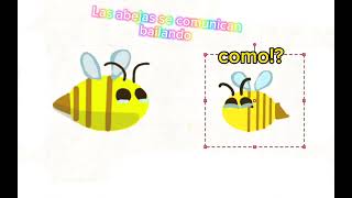 Pov las abejas se comunican bailando [upl. by Ioves]