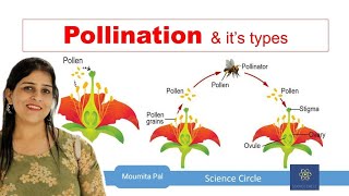 Self amp Cross Pollination  Sexual Reproduction in Plants II Agents of Pollination II [upl. by Ahsatniuq]