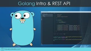 Golang REST API With Mux [upl. by Aubine991]