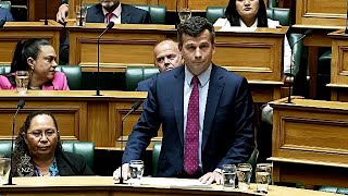 Hon David Seymour Treaty Principles 1st Reading [upl. by Hctim]