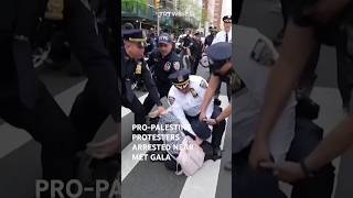 Police arrest proPalestinian protesters heading to Met Gala [upl. by Yurt884]