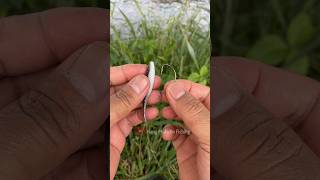 How to Set Fishing Bait Soft Lure fishing knottutorial fishingtips tutorial knot [upl. by Tarsuss]