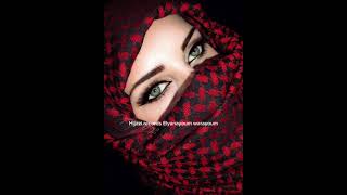 Hijazi records Elyana youm wara youm hijazi remix [upl. by Joell860]