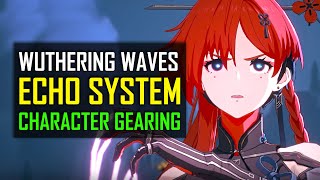 Wuthering Waves Echo System ENDGAME Character Gearing Explained [upl. by Nhguavahs]