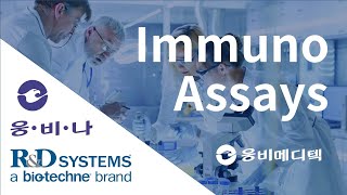 RampD Systems® ImmunoAssay 공식대리점 웅비메디텍 [upl. by Aivatnahs]