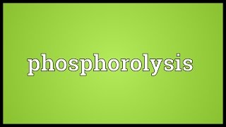 Phosphorolysis Meaning [upl. by Bethel615]