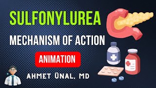 🎬 SULFONYLUREAS MECHANISM OF ACTION ON BETA CELLS  MNEMONIC ANIMATION [upl. by Nim]