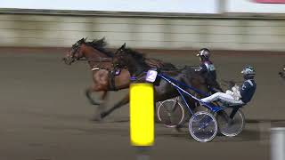 Åbytravet 2024 11 13 Lopp 8 [upl. by Sucitivel]