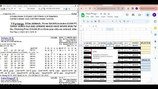 PACE PROGRESSION Incorporating Brisnet Pace numbers [upl. by Ralli]