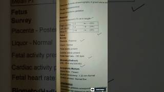 My Pregnancy Scan Report  Placenta Position  Placenta Posterior in tamil  pregnancyscan NT Scan [upl. by Stilla]