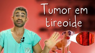 Adenocarcinoma de tireoide canino  Relato de caso da residência veterinária 17 [upl. by Gaither]