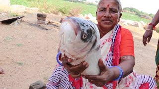 Fish Fry  How To Cook Traditional Fish Fry  Desi Kitchen [upl. by Neom830]