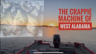 The Crappie Machine of West Alabama on tops and drops fishing crappie [upl. by Zeph391]