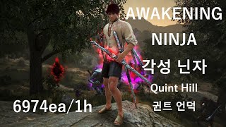 Black Desert 각성 닌자 Awakening Ninja 엘비아 귄트 언덕 Elvia Quint Hill Level2 LS 6974ea1h [upl. by Anniroc271]