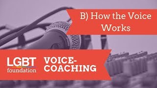 B How the Voice Works  Trans Programme VoiceCoaching Series [upl. by Tireb158]