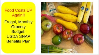 Frugal Monthly Grocery Budget USDA Thrifty Plan [upl. by Lidah]