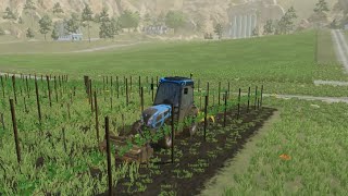 I cut the grass from the grapesFarming Simulator 23 map of Amberstone 295 [upl. by Suolkcin465]