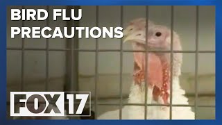 Avian Flu Rises in West Michigan Farms [upl. by Ellebyam]