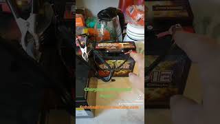 How To Charge A Discharged AGM Battery shorts carbattery battery [upl. by Cooley]