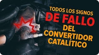 Cómo comprobar un convertidor catalítico  Consejos de AUTODOC [upl. by Aneerahs283]