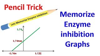 Enzyme Inhibition Made Easy Competitive NonCompetitive Uncompetitive Km Vmax BIOCHEM MCAT [upl. by Esilrac]