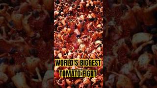 La Tomatina Spain’s Epic Tomato Fight Festival [upl. by Adam951]