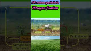 Nitrogen fixation trendingshort viralshots song music [upl. by Olatha414]