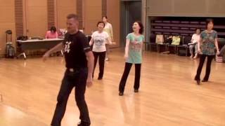 Bruises line dance choreod by Niels Poulsen [upl. by Layney445]