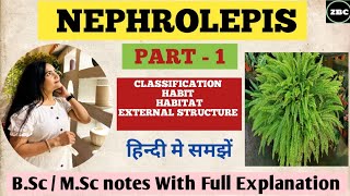 NEPHROLEPIS  Part1 Classification Habit Habitat External Structure Notes With Explanation [upl. by Amr]