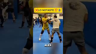 LA PEGADA DE ALEX ES BRUTAL🥊 kickboxing mma peleadebox ufc kickboxer striking sparring box [upl. by Eidnas375]