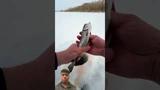 Winter fishing ko dege reaction pt24 shorts reaction keshavrajgure [upl. by Aramat]