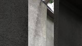 Exterior Drilling if Stucco [upl. by Enileda]