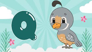 The Letter Q Song  Learn the Q Alphabet  Phonics for Kids  Animals that Start with Q phonicsfun [upl. by Hidie868]