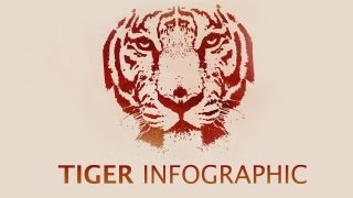 Video infographic Endangered tigers [upl. by Welles]