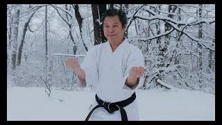 Mastering Sanchin Kata partial in Karate GoJuRyu  Dojo Life [upl. by Edsel]