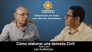 Cómo Elaborar una Demanda Civil  Parte 3 de 4  Las Audiencias [upl. by Hayn768]