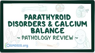 Parathyroid disorders and calcium balance Pathology Review [upl. by Hsaka]