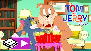 Tom and Jerry  Tijd voor een feestje  Cartoonito [upl. by Plafker306]