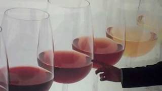 Sandeman Porto Good at Wine Tourism [upl. by Yunfei]